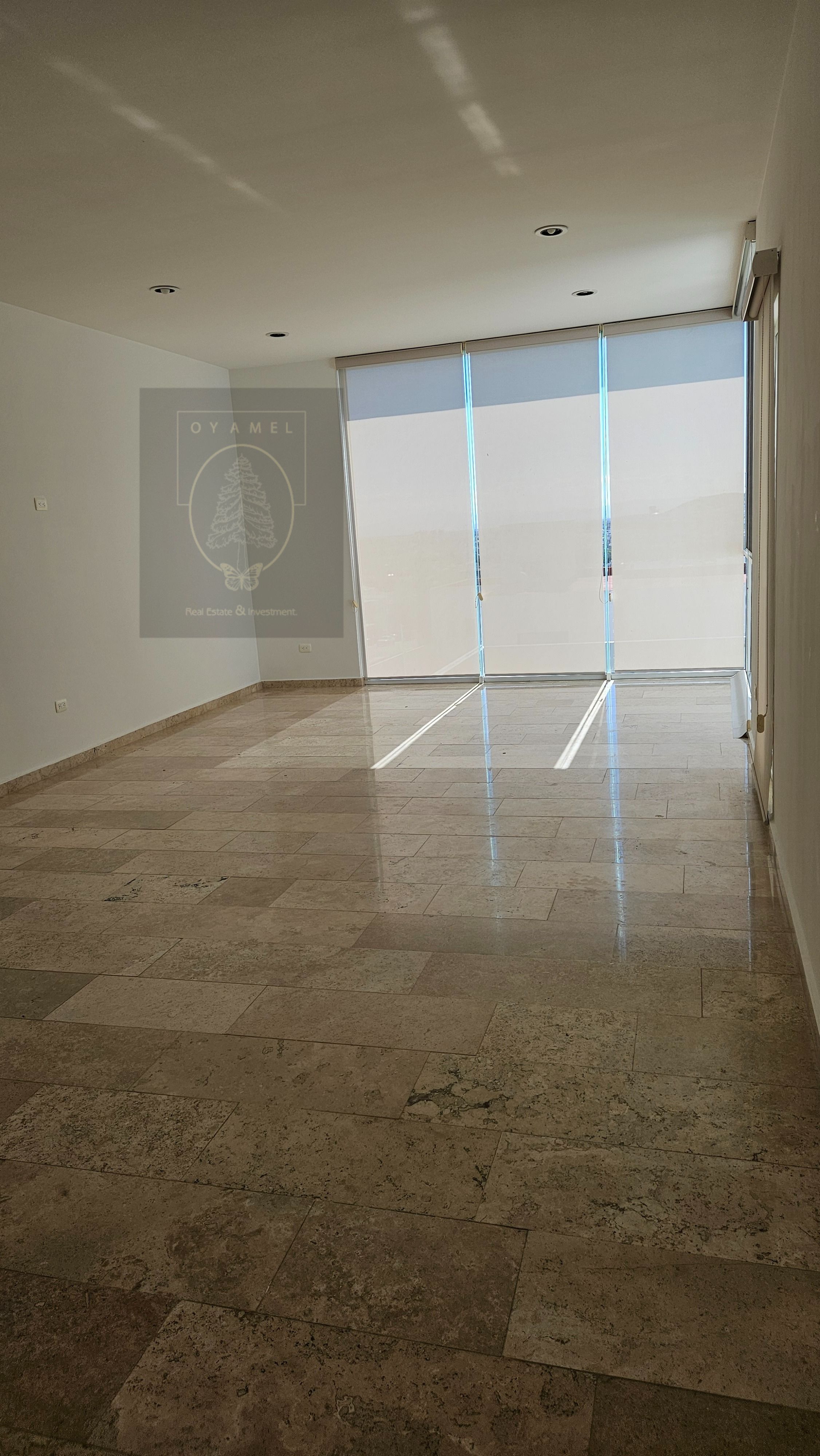 Sala y comedor